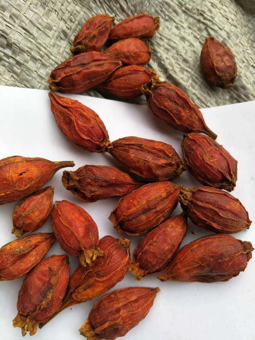 飒枫中药材 山栀子 大货批发 厂家直供